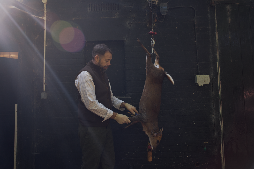 Sherpa fleeceväst Demitasse brown - Sandhem