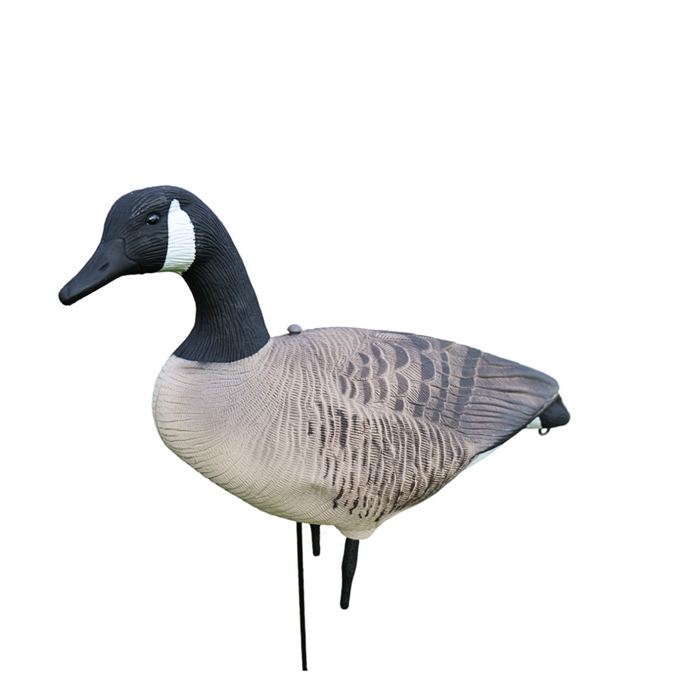 Fullkropps Kanadagäss 12 st - HuntElite