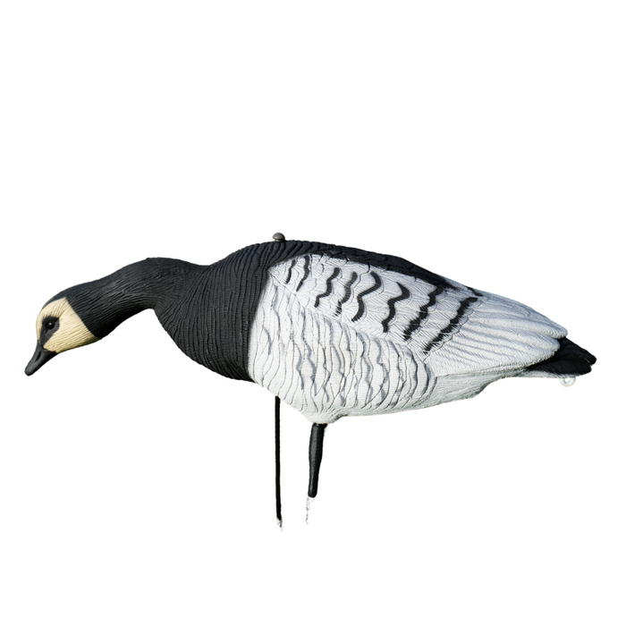 Fullbody Vitkindade Gäss - 12 st - HuntElite