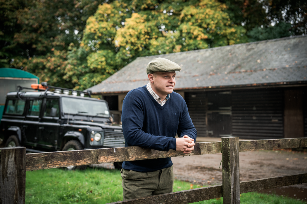 V-ringad tröja Light Pine - Pine – Seeland