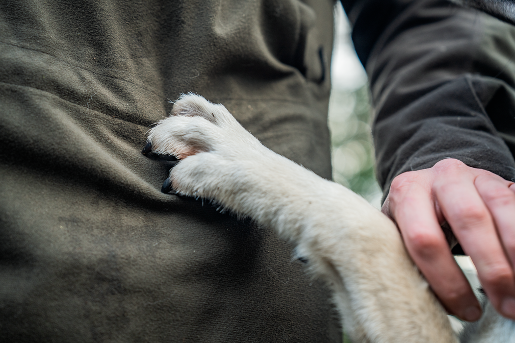 BGH Jacka Pine green – Seeland