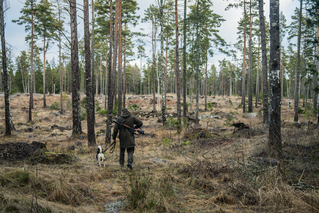 BGH Jacka Pine green – Seeland