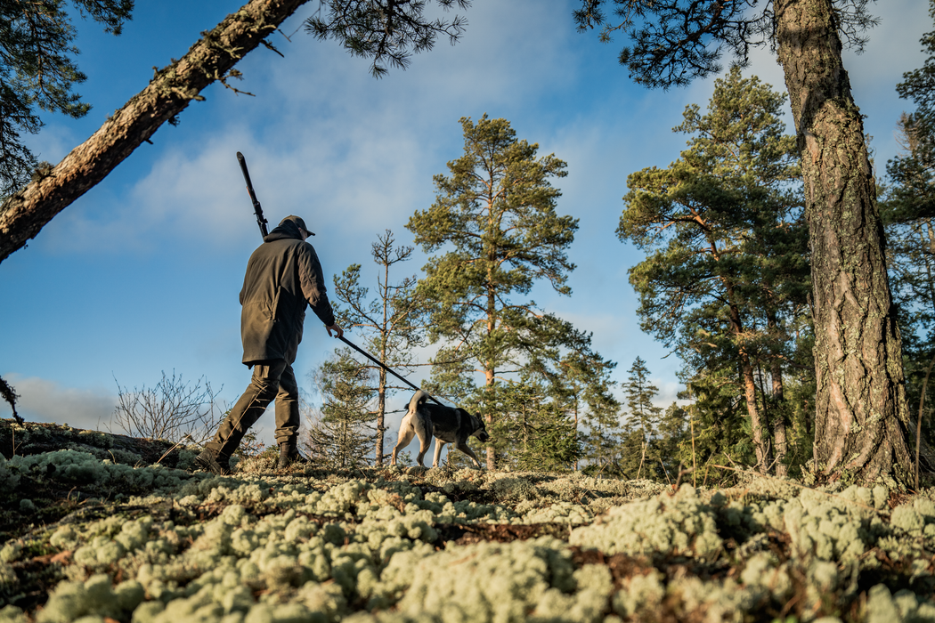 BGH Jacka Pine green – Seeland