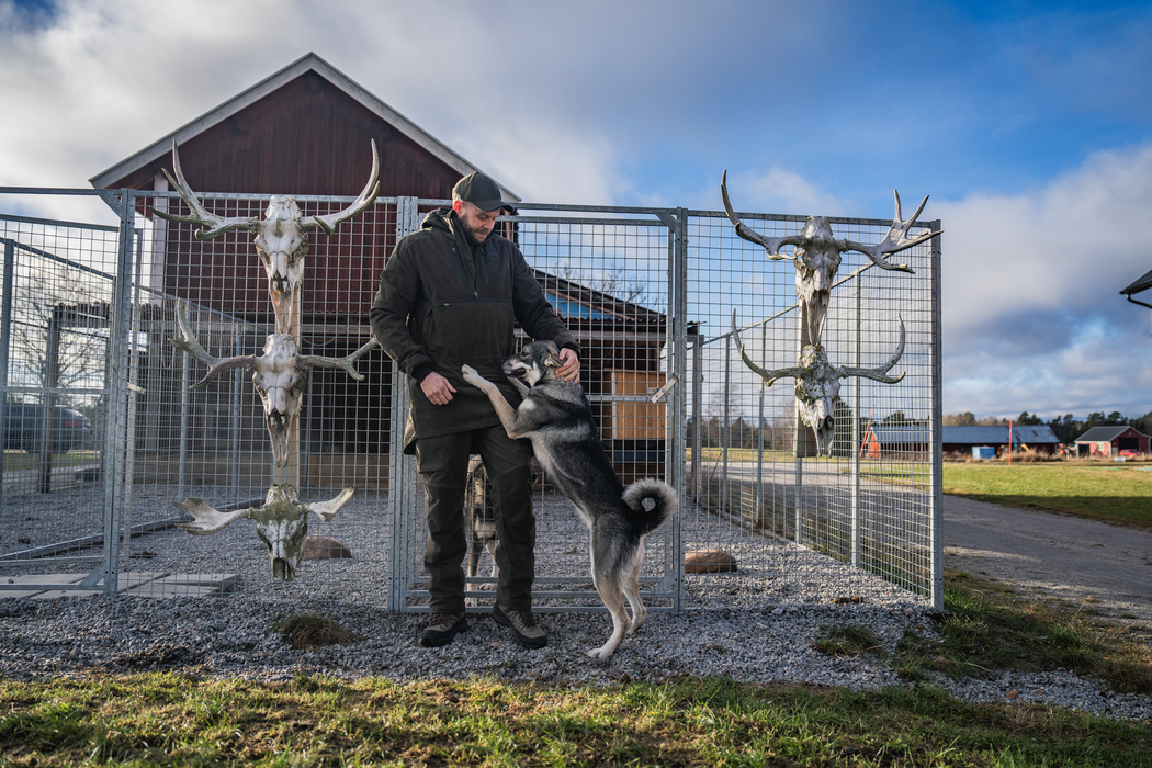 BGH Jacka Pine green – Seeland