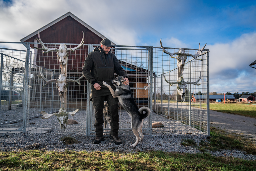 BGH Jacka Pine green – Seeland