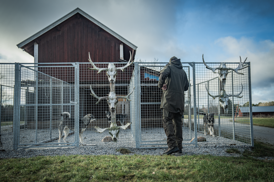 BGH Jacka Pine green – Seeland