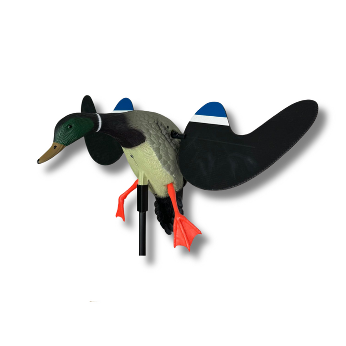 Snurrande vinge - gräsand - HuntElite