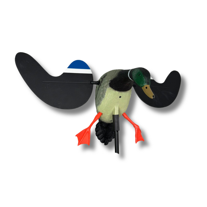 Snurrande vinge - gräsand - HuntElite