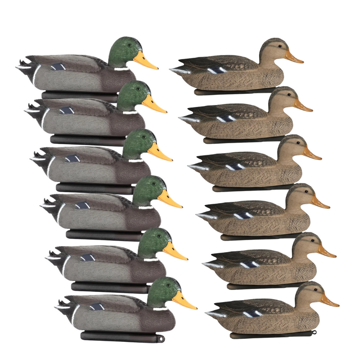 Gräsand lockand Hane/Hona 12 st - HuntElite