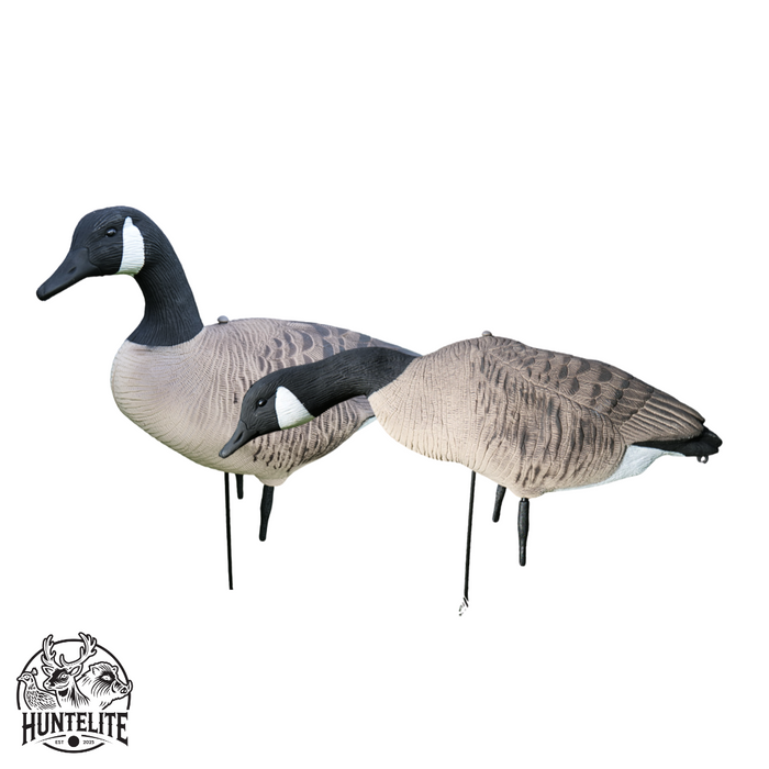 Fullkropps Kanadagäss 12 st - HuntElite