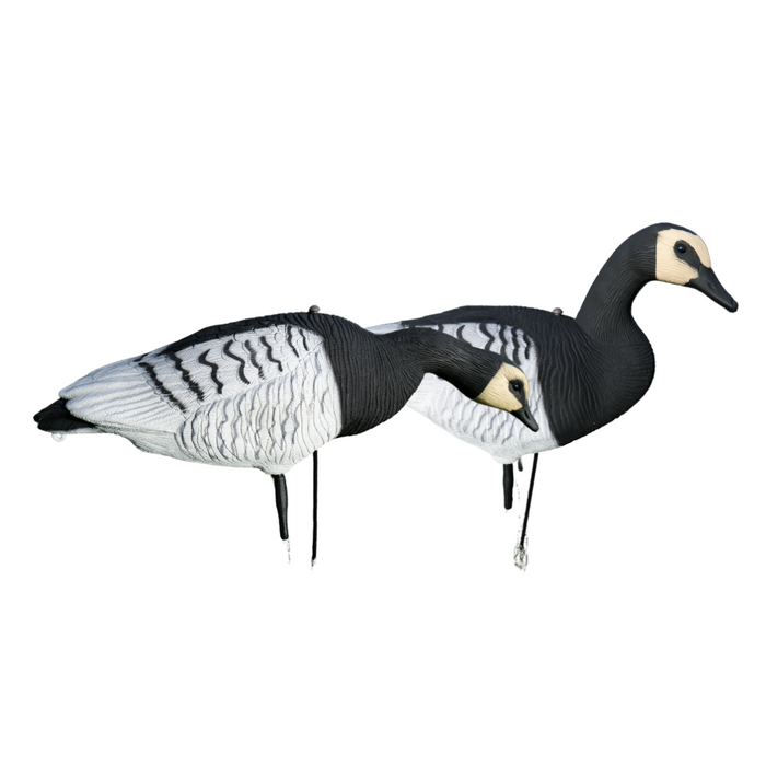 Fullbody Vitkindade Gäss - 12 st - HuntElite