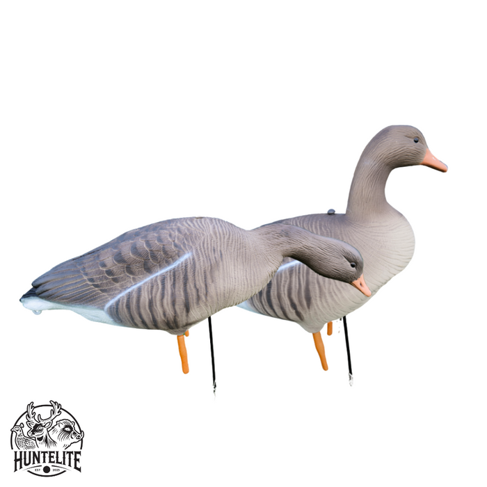 Fullbody grågäss - 12 st - HuntElite
