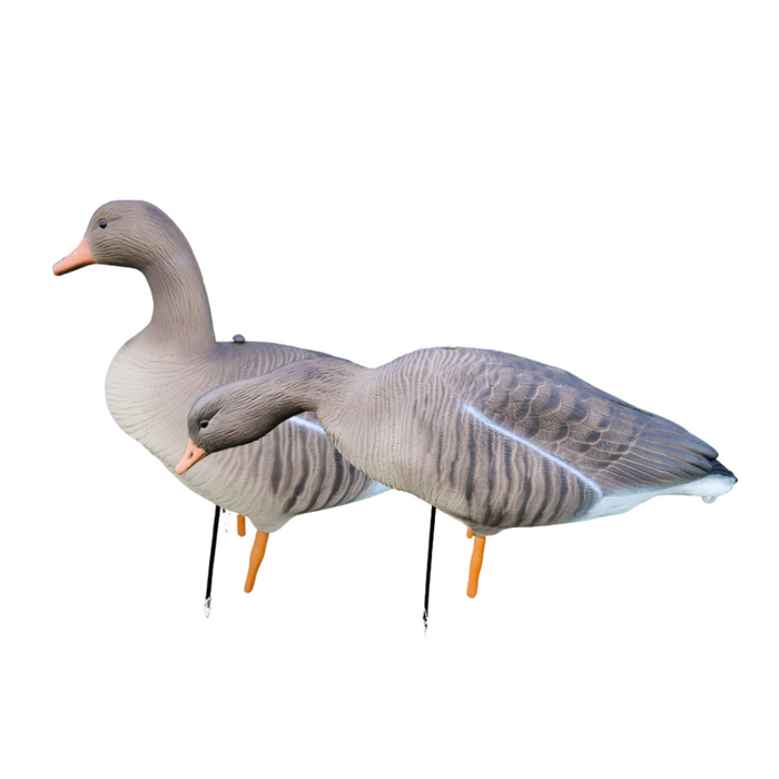 Fullbody grågäss - 12 st - HuntElite