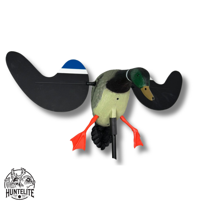 Snurrande vinge - gräsand - HuntElite