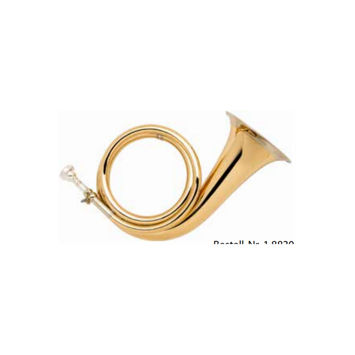 med läderskydd 8830 guld mässing/konsertmodell - Fürst-Plesshorn