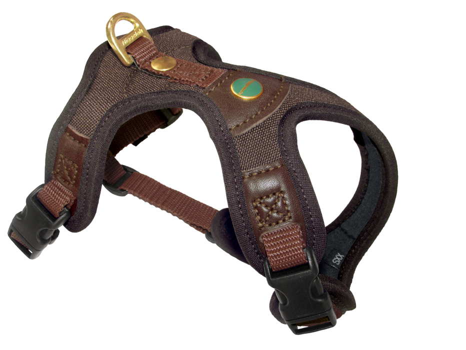 Niggeloh Follow light sele – Niggeloh