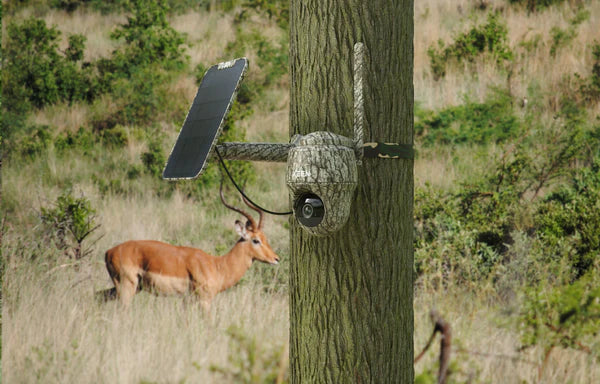 Go Series G450 inkl. solpanel - REOLINK