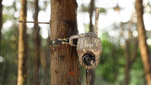 Go Series G450 inkl. solpanel - REOLINK