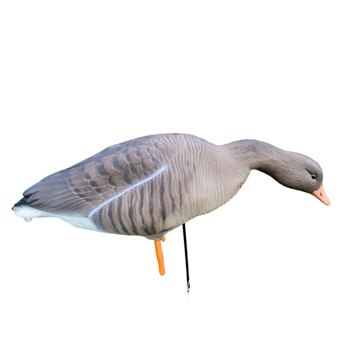 Fullbody grågäss - 12 st - HuntElite