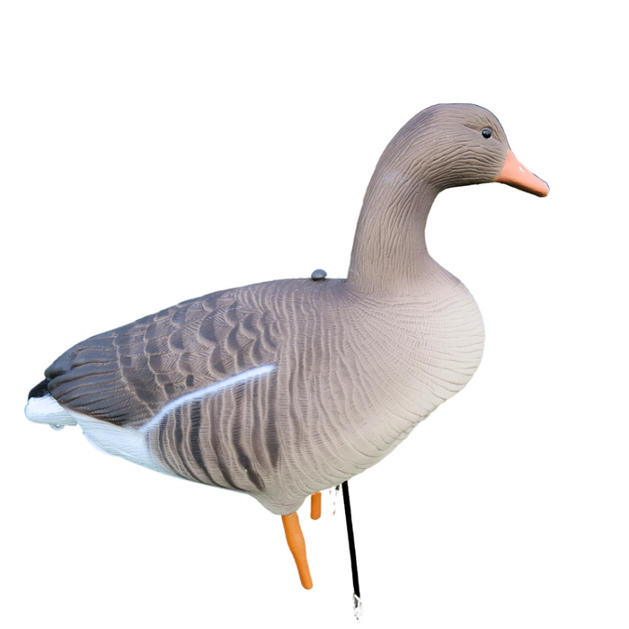 Fullbody grågäss - 12 st - HuntElite