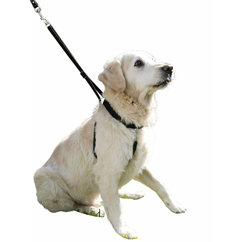 Hundsele Maxi Leader - Hals 25-30 cm – Kerbl