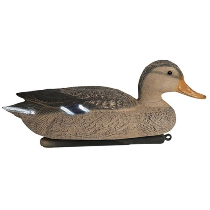 Gräsand lockand Hane/Hona 12 st - HuntElite