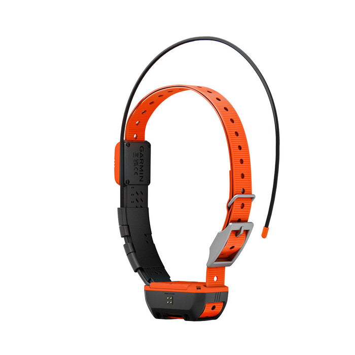T20 hundhalsband - Garmin