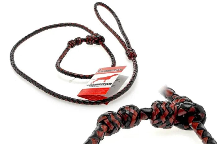 Retrieverfodral i flätat läder - PROF DOG