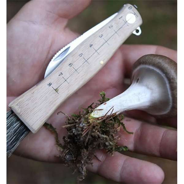 Fällbar svampkniv - Øyo