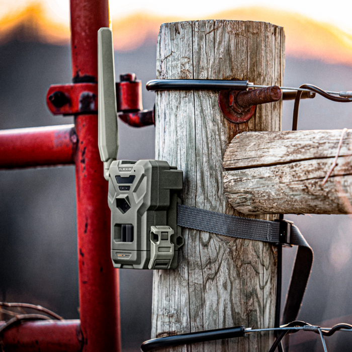 Spypoint Flex-M Twin-pack – Spypoint