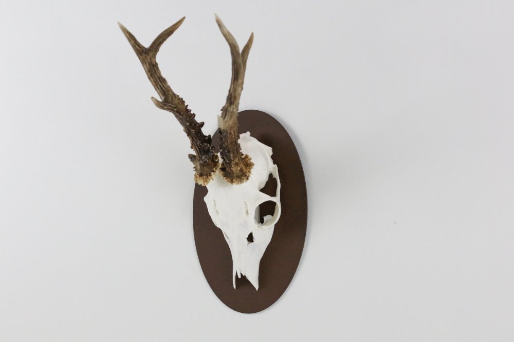 Monteringsplatta för bock Oval / Corten - Torp Solution