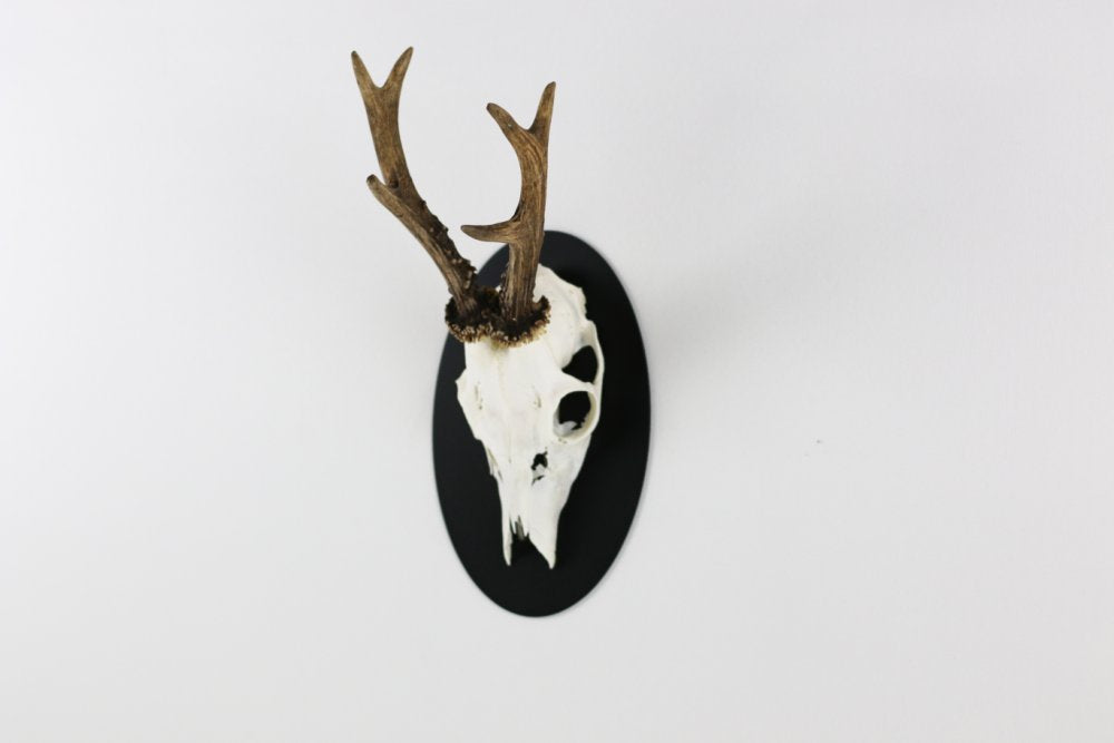 Monteringsplatta för bock oval Svart - Torp Solution