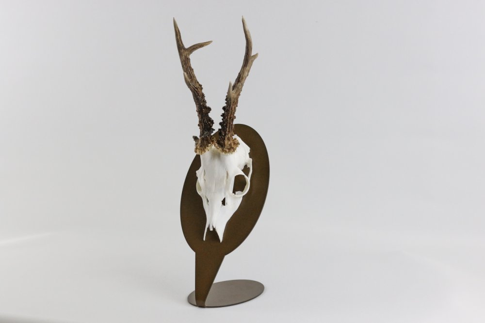 Monteringsplatta för bordsskiva bordsmodell för bock Oval / Corten - Torp Solution