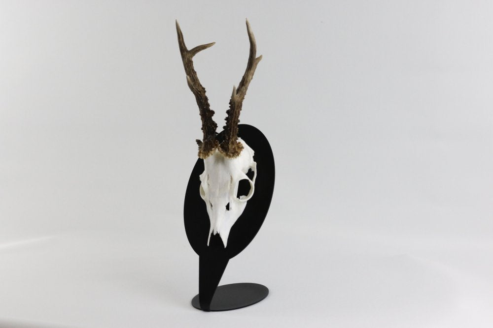 Monteringsplatta för bordsskiva för bock oval / svart - Torp Solution