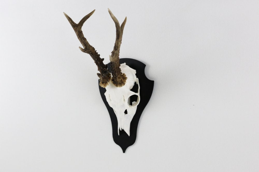 Monteringsplatta för bock Classic Svart - Torp Solution