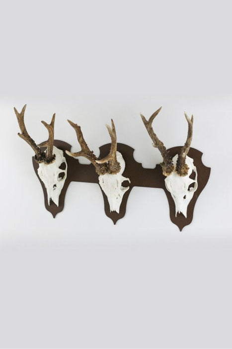 Troféplatta för 3 bockar liggande - classic / Corten - Torp Solution