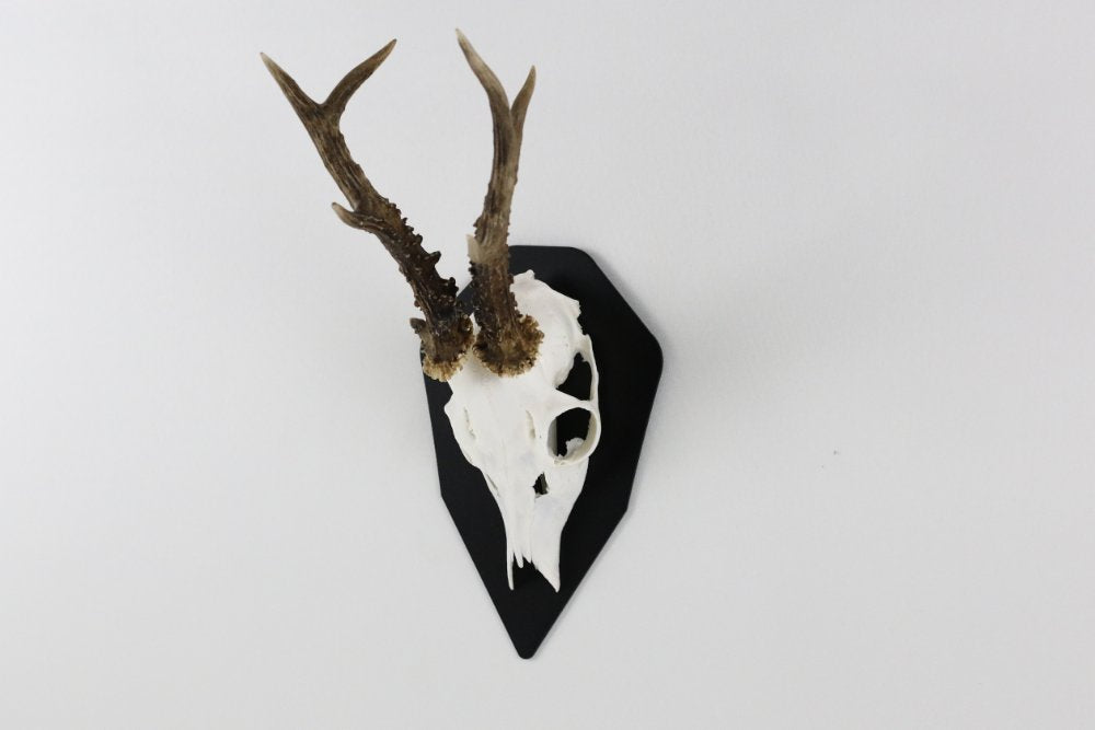 Monteringsplatta för bock Diamant Svart - Torp Solution