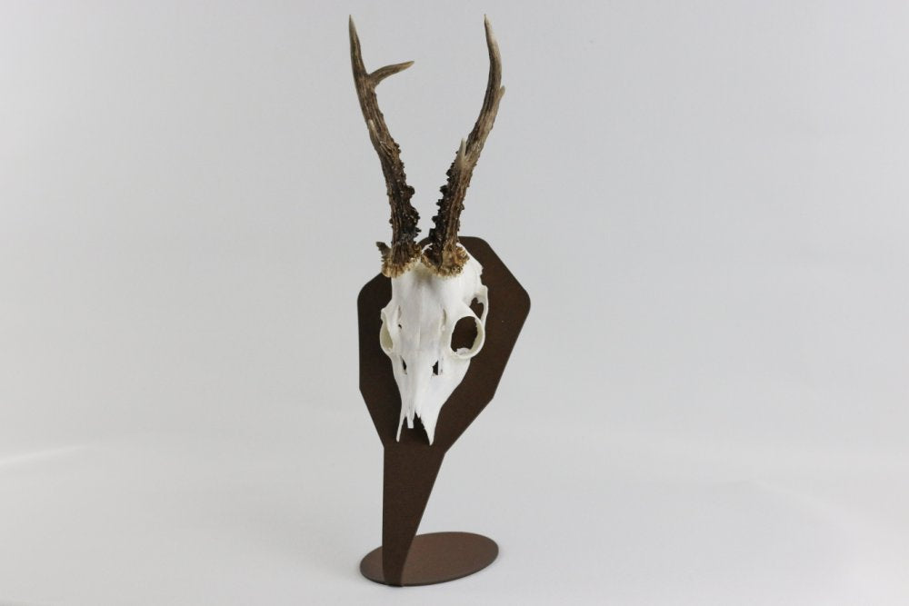 Troféplatta bordsmodell för bock Diamond / Corten - Torp Solution