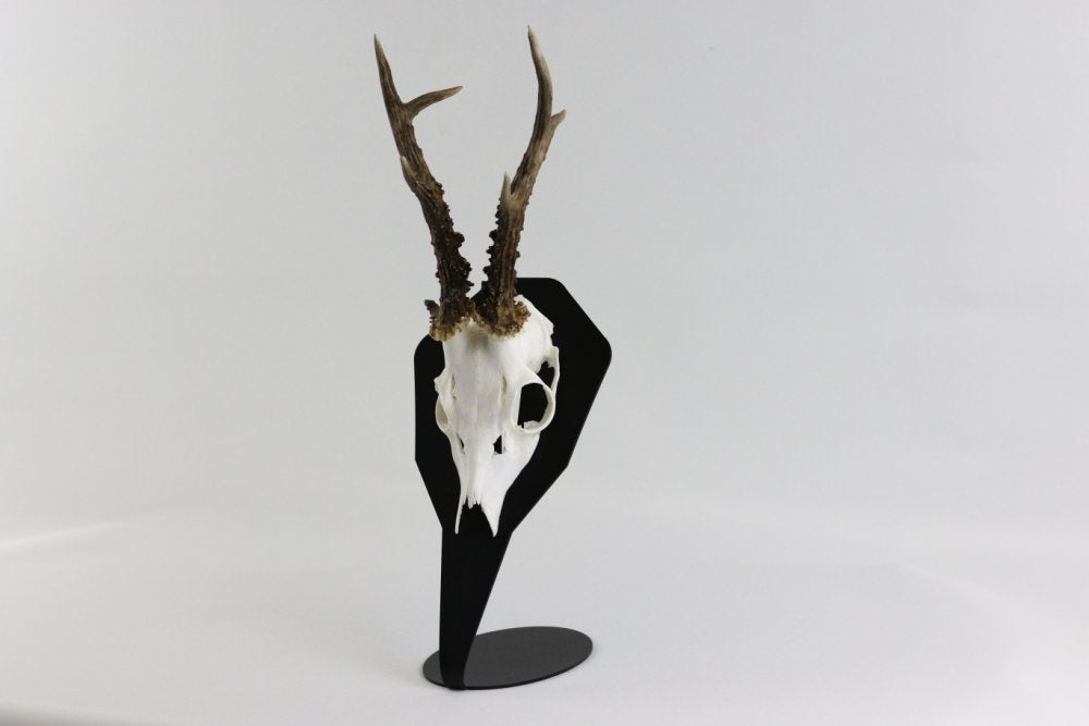 Torp Solution uppsatsplatta bordsmodell för bock Svart - Diamond